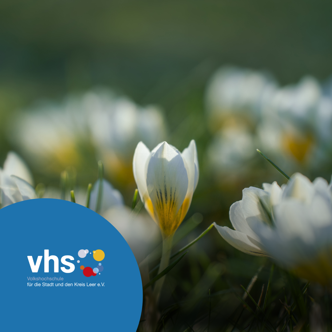 Ostern VHS Leer